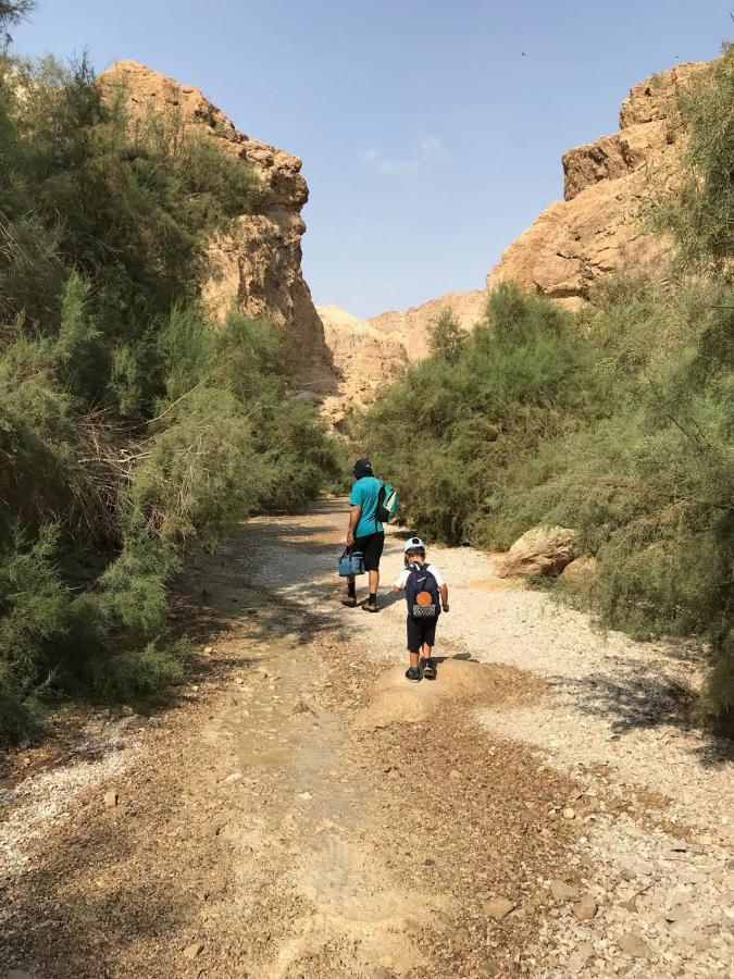Desert Chilling - סתלבט במדבר Villa Neot HaKikar Luaran gambar